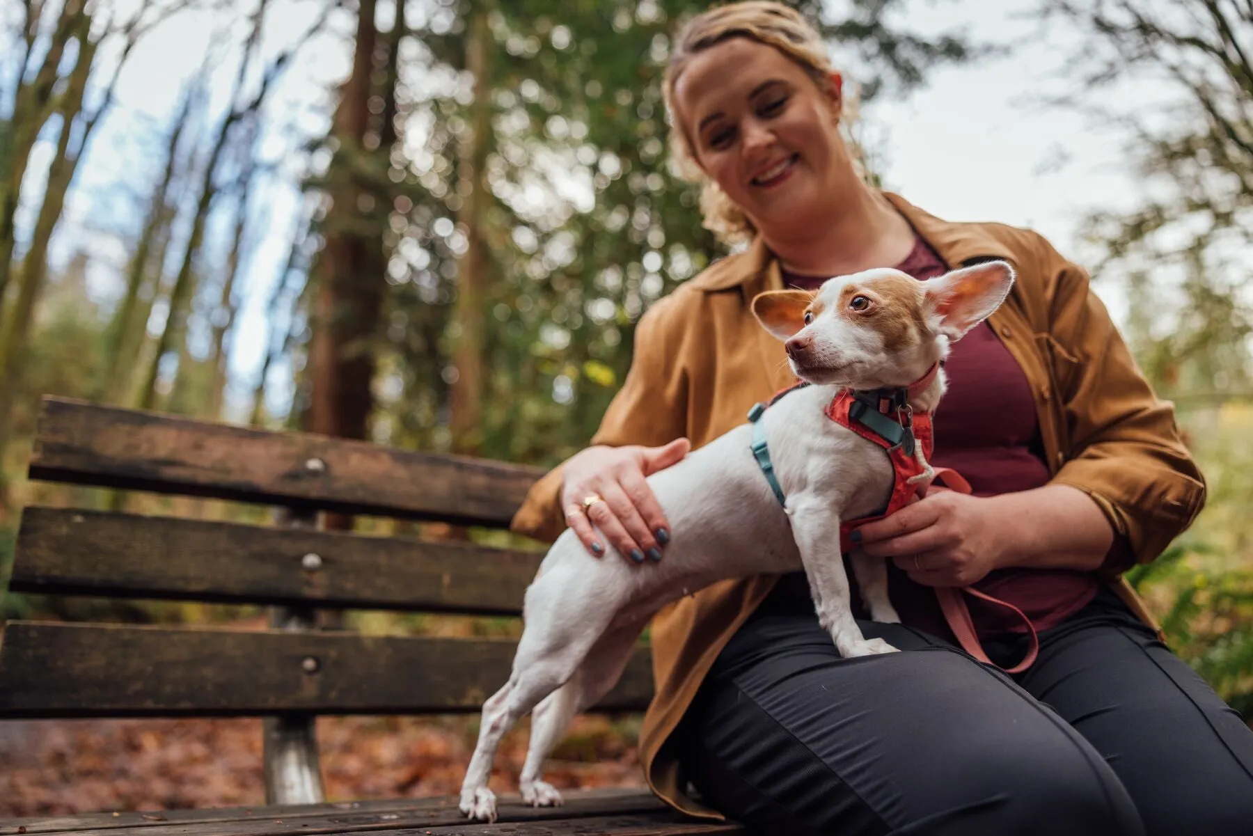 A small dog held by a woman, showcasing the lightweight Hi & Light harness