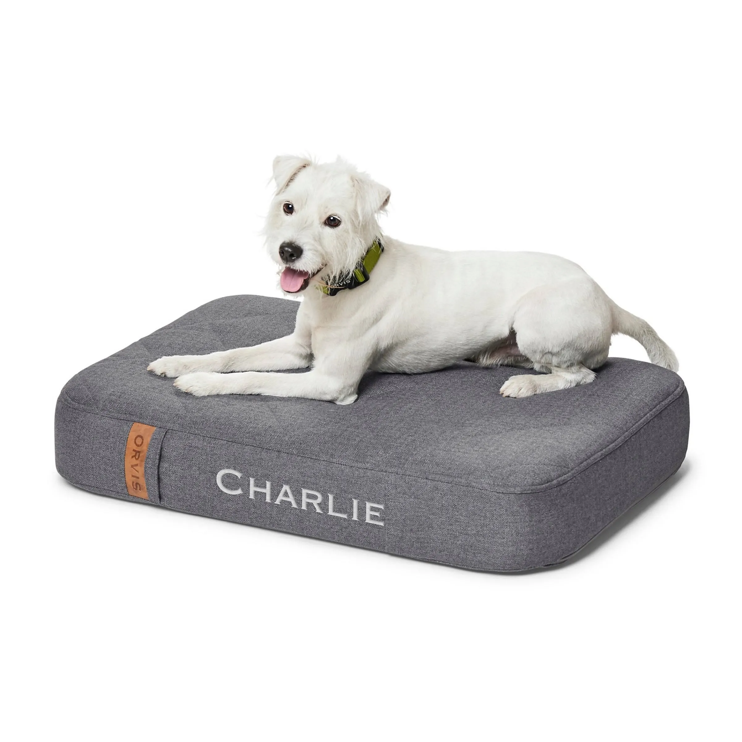 A small white dog resting peacefully on a comfortable gray Orvis Recovery Zone dog bed.