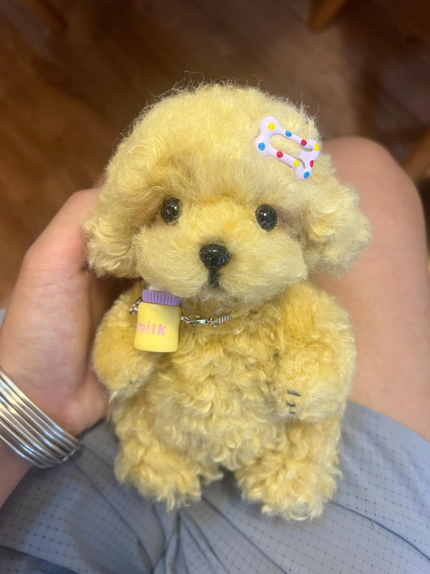 A small, white Maltipoo puppy with an adorable expression.