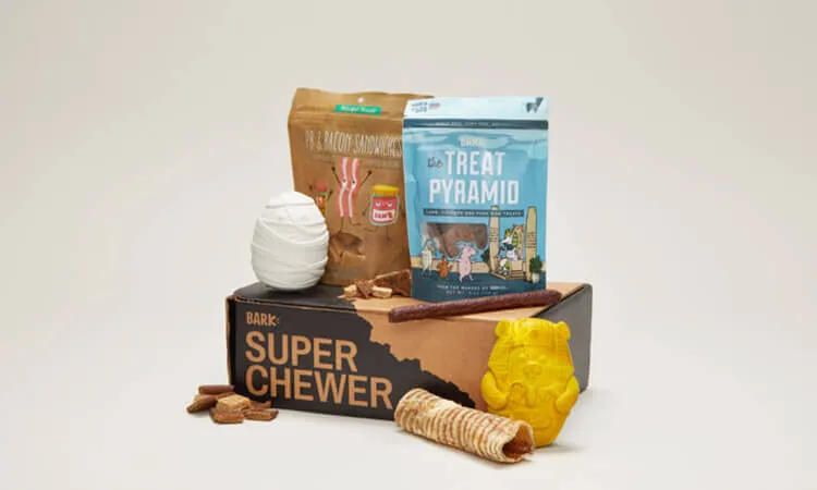 A subscription box for super chewers with a variety of durable toys and treats