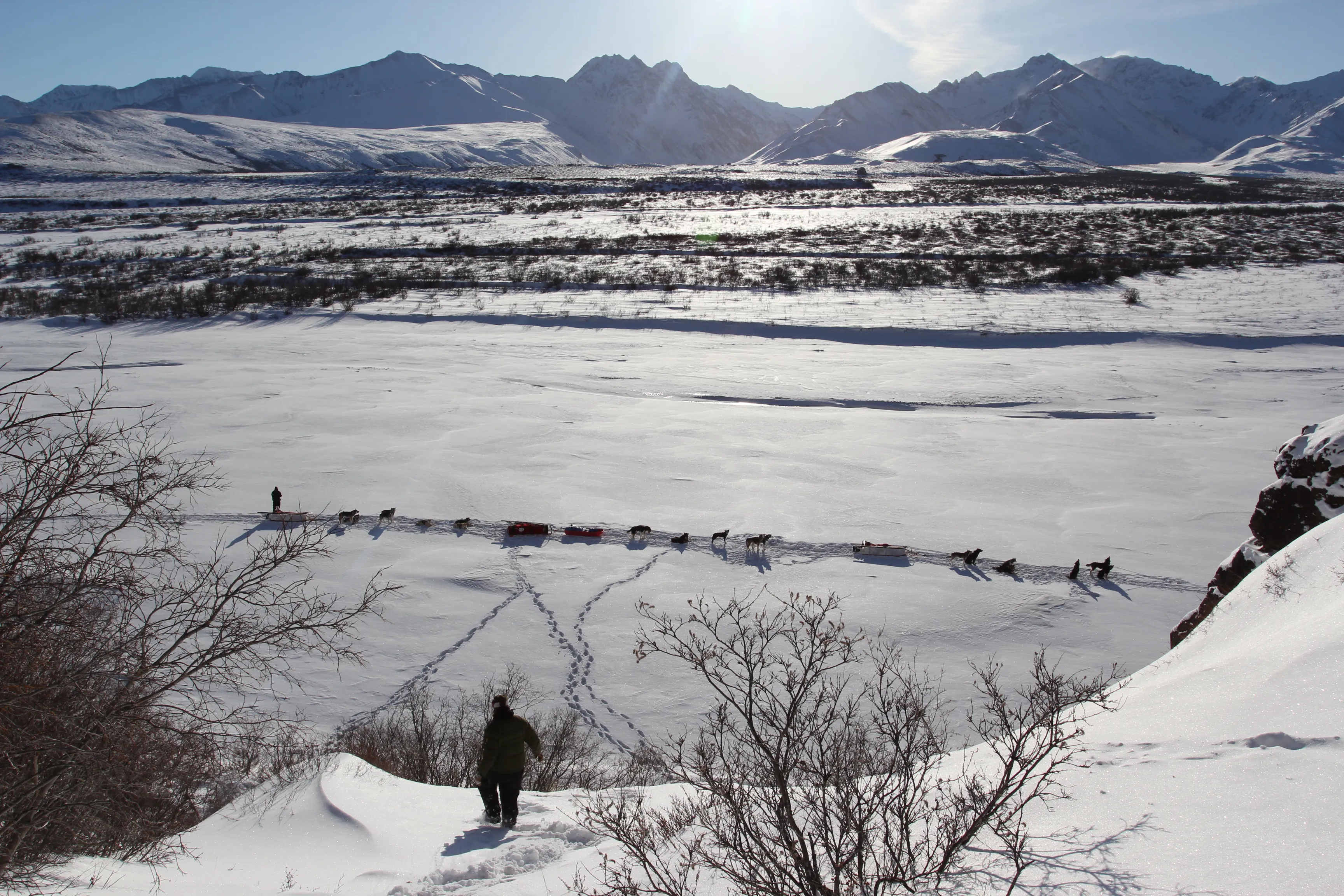A team of dogs navigating a snowy trail, symbolizing a journey or extended stay in new surroundings