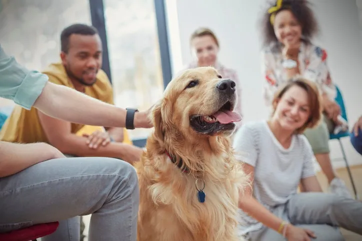 A therapy dog handler interacting with their dog, focusing on their bond and impact