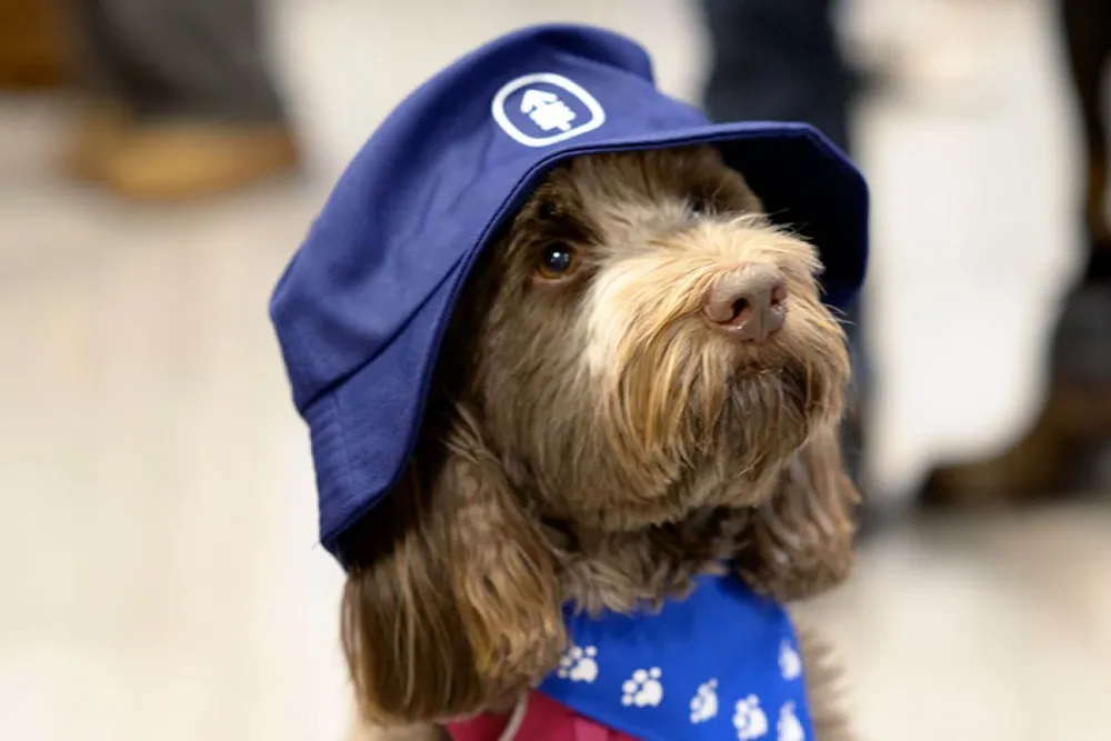 A therapy dog, Lucy, sitting calmly next to a smiling patient in a hospital setting.