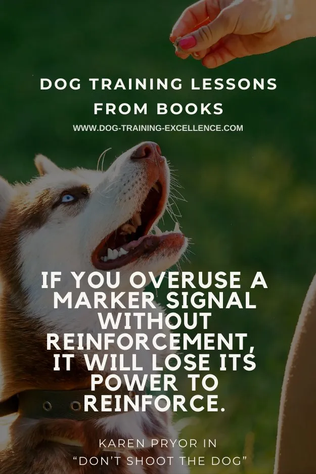 A thoughtful quote about dog training