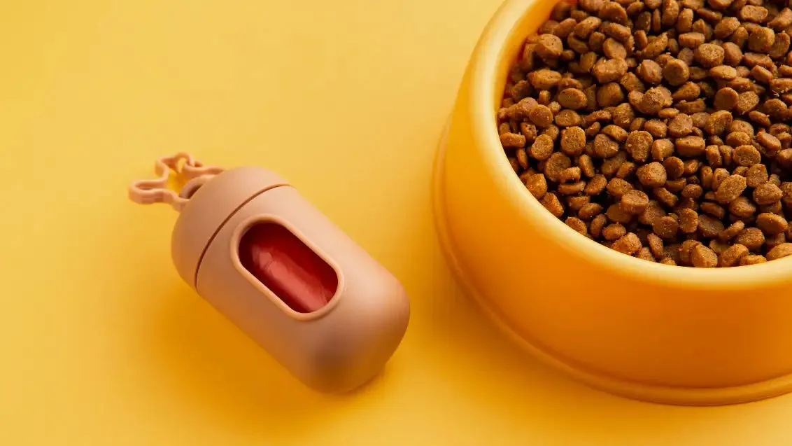 A variety of colorful, healthy dog food and ingredients, suggesting options for grain-free diets suitable for dogs with allergies