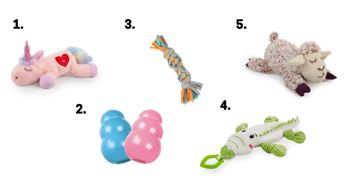 A variety of recommended puppy toys, including plush, chew, and puzzle options, perfectly suited for a 5-month-old pup.