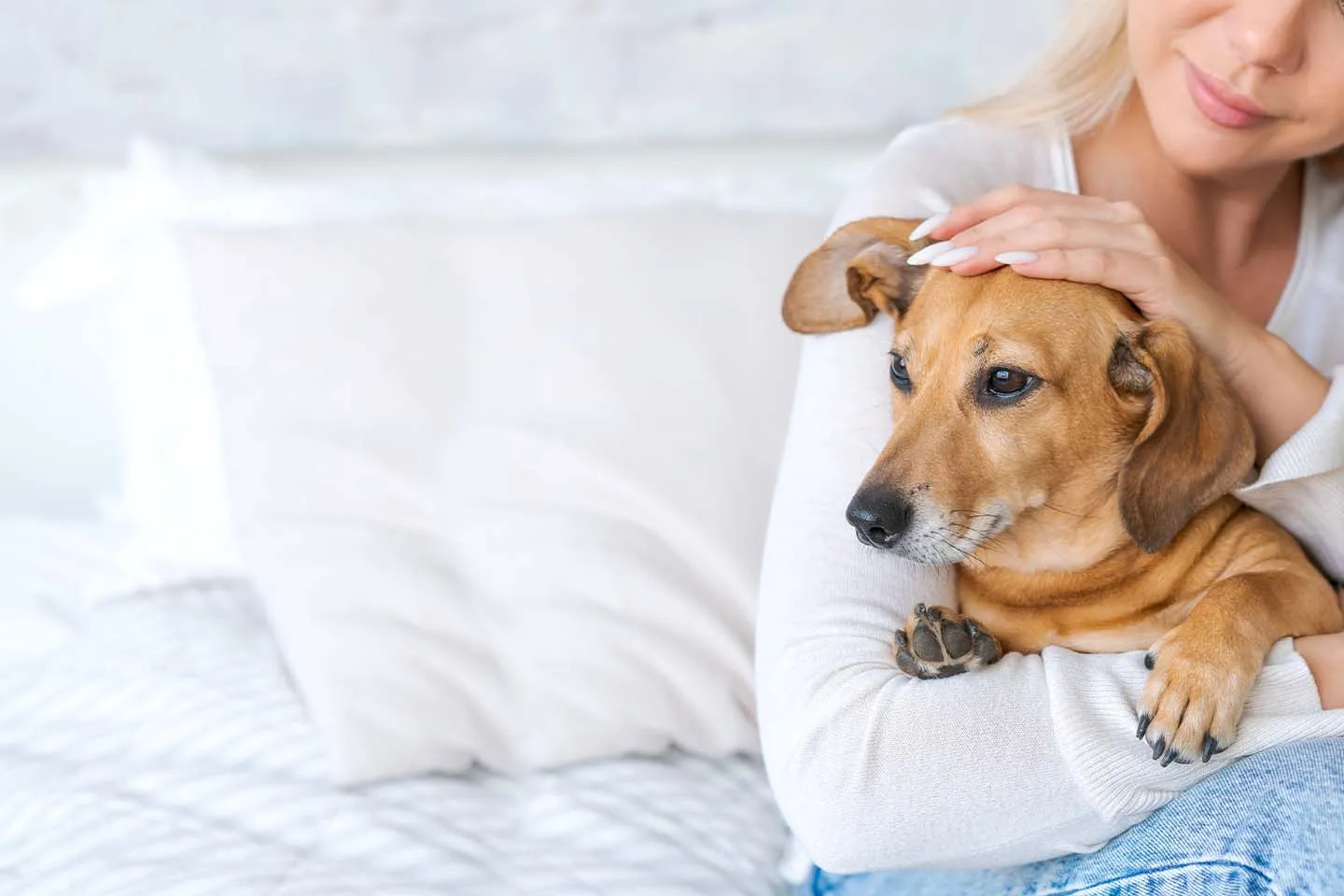 A veterinarian compassionately examining a dog, showcasing professional pet care.