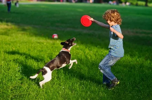 A veterinarian consulting with a pet owner, explaining treatment options.