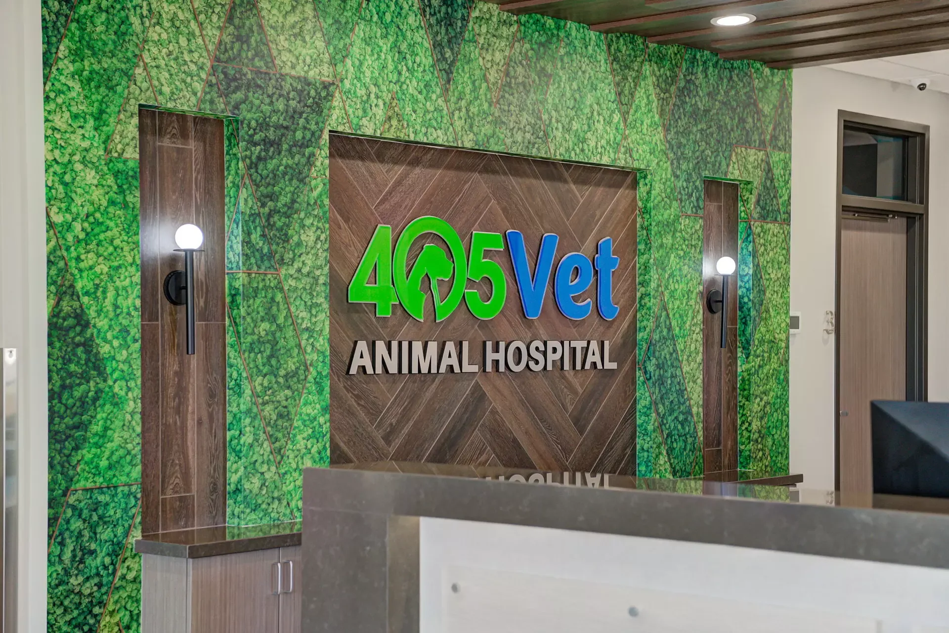 A veterinarian performing a check-up on a dog, demonstrating careful and gentle handling