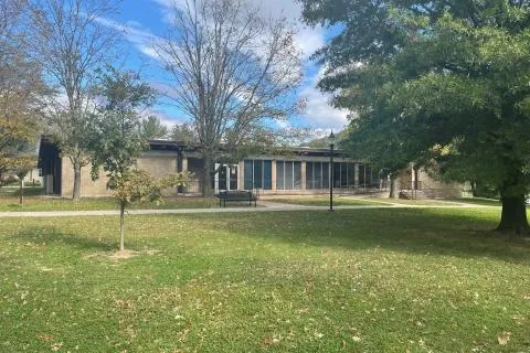 A veterinary surgeon performing an operation on a dog with a team of assistants
