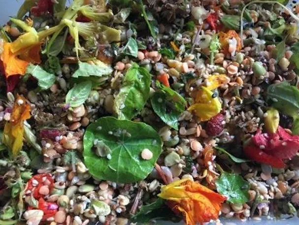 A vibrant and nutritious mash, showcasing a blend of fresh greens, sprouts, and vegetables, essential for parrot health.