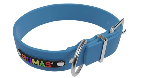 A vibrant blue BioThane dog collar with a classic buckle, showcasing the material's clean and simple aesthetic