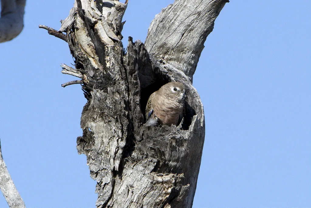A vibrant green parrot perched on a branch in natural light.