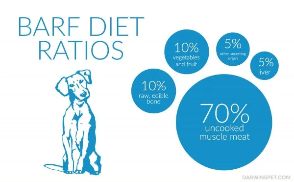 A visual representation of the recommended BARF diet ratios for dogs, showing the proportions of meat, bone, organs, and plant matter.
