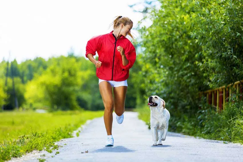 A woman jogging through a park with her dog on a leash.