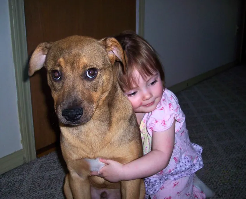 A young girl hugging a dog, who appears tense with a closed mouth, whale eyes, and is leaning away from the hug.