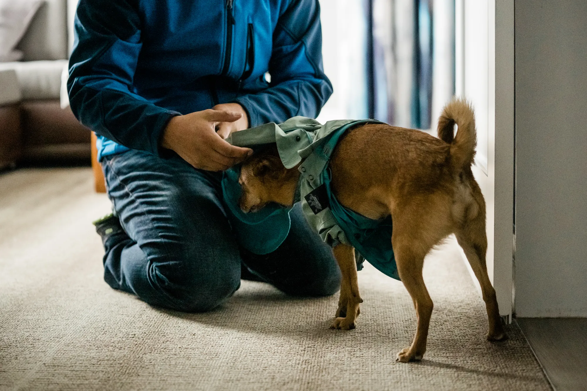 Addison struggling to put a coat on Robin, coat over Robin's face