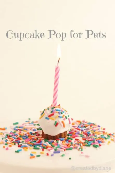 Adorable cupcake-shaped treats, perfect as miniature no-bake cakes for smaller pets.