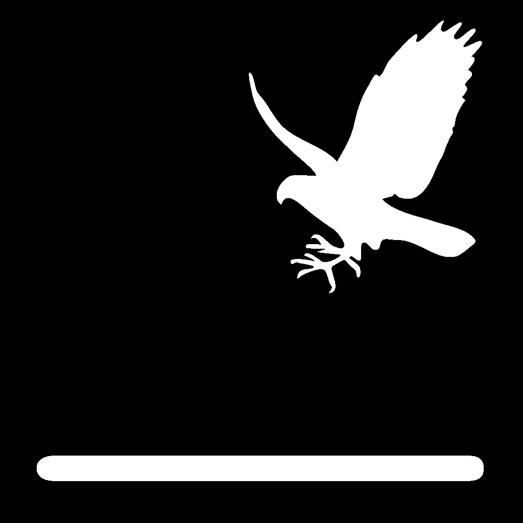 Aerial Dive (ground/talons)