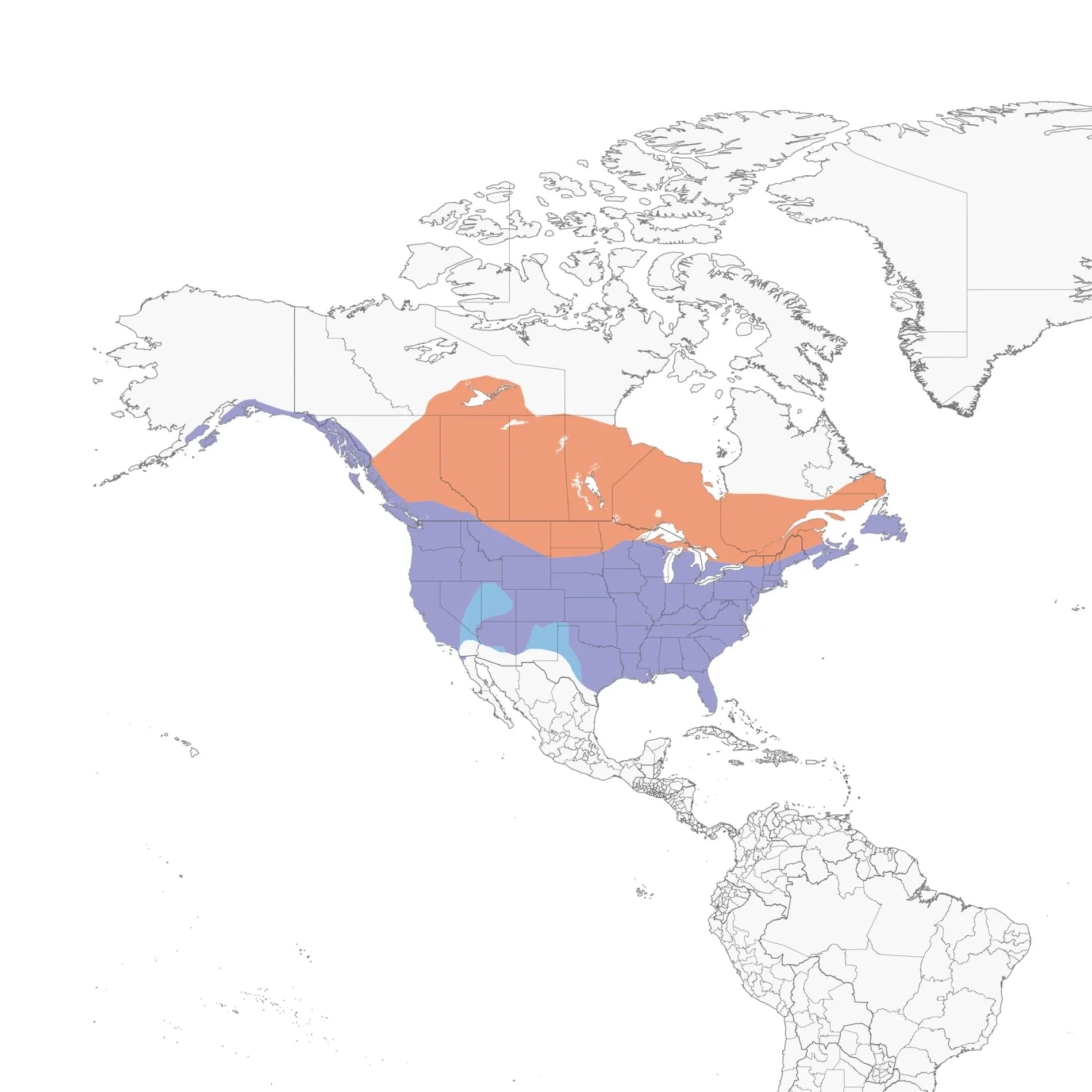 American Crow range map showing eBird sightings across North America