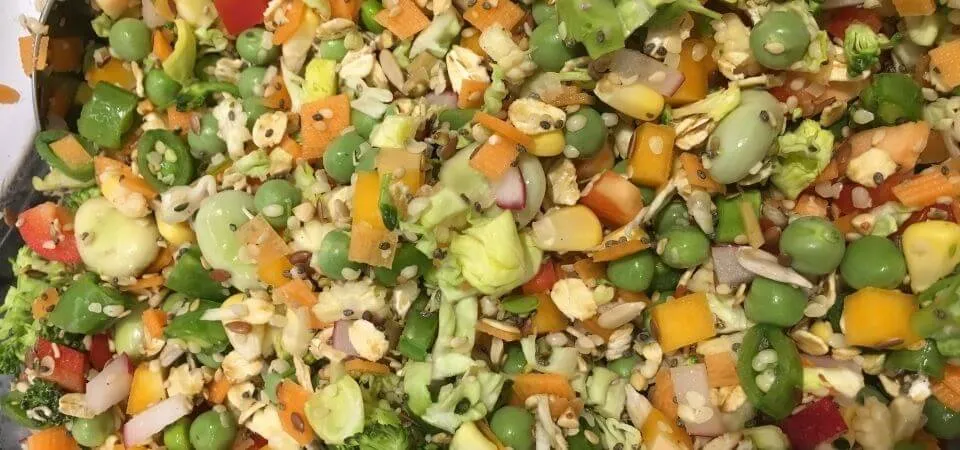 An African Grey parrot standing next to a bowl filled with various colorful chopped fruits and vegetables, ready to eat.