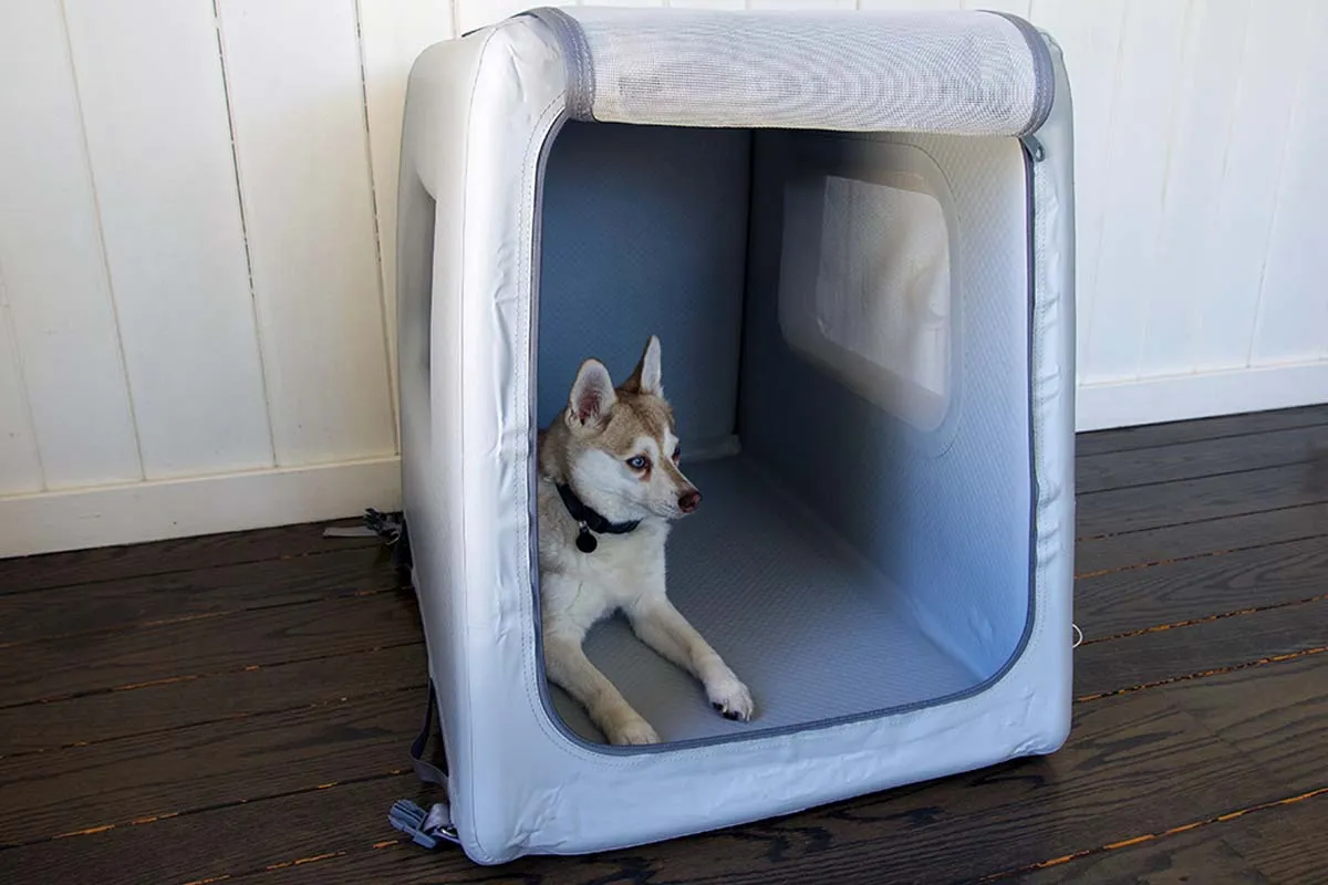 An Alaskan Klee Kai dog, Copper, relaxing inside his Enventur Travel Kennel