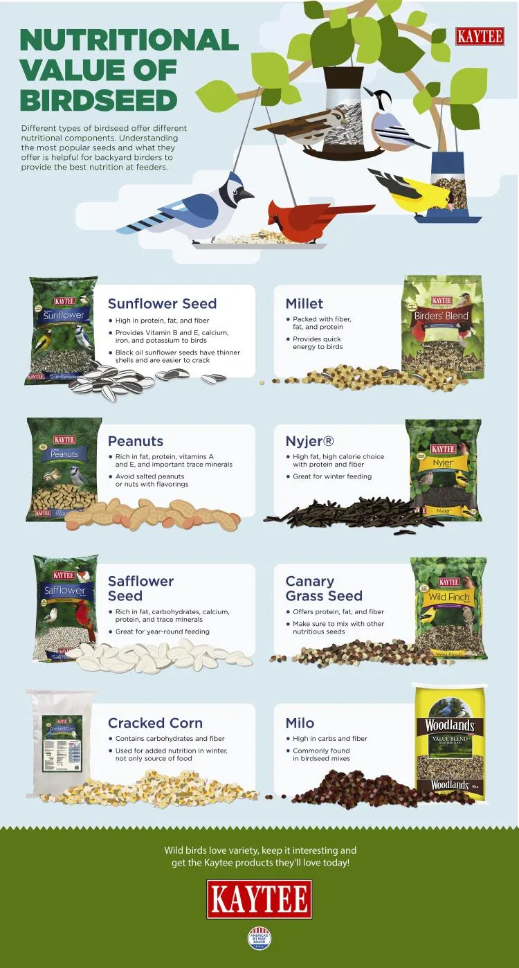 An array of common birdseed ingredients laid out on a wooden surface, including various sunflower seeds, peanuts, millet, and corn kernels.