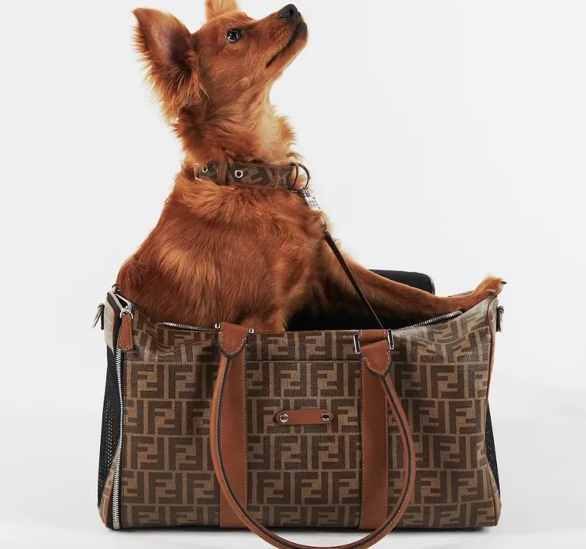 An array of Fendi luxury pet items, including carriers, leashes, and collars, showcasing the iconic FF motif