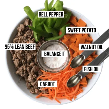 An array of fresh, wholesome ingredients including lean ground beef, sweet potatoes, carrots, and bell peppers, ready for a homemade dog food recipe.