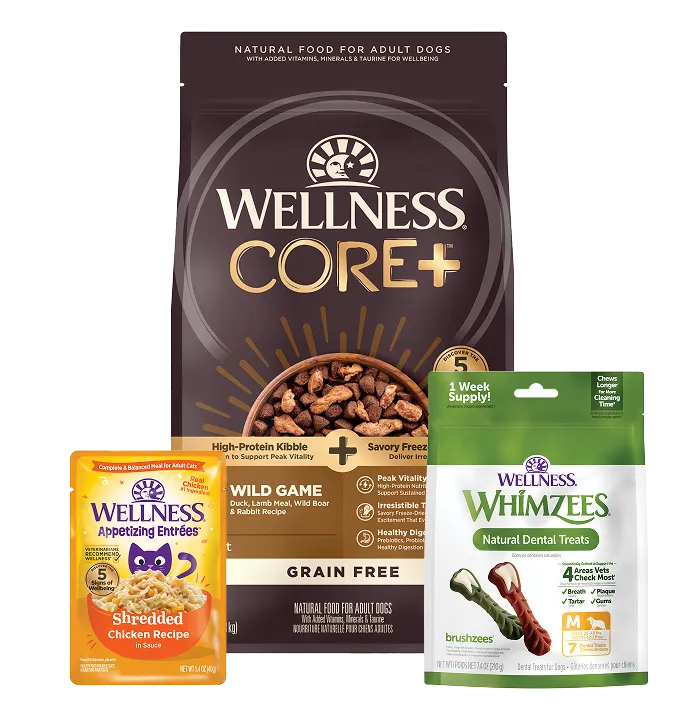 An array of natural dog food products and treats, emphasizing high-quality ingredients and pet wellness.