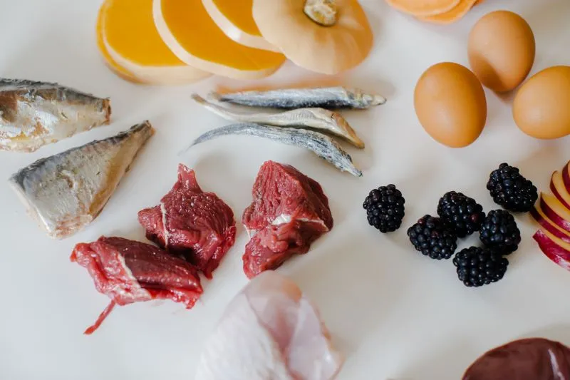 An array of raw ingredients, including various meats, fish, eggs, and fruits, prepared for a dog's meal