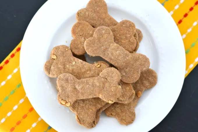 An excited dog looking intently at a plate of homemade peanut butter dog treats