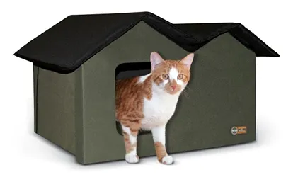 An extra-wide olive-colored outdoor cat house with a robust design, suitable for multiple cats seeking shelter.