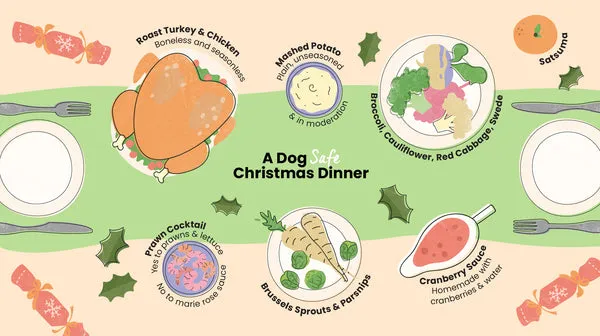 An illustrated Christmas dinner table showing dog-safe foods: unseasoned boneless chicken and turkey, deshelled prawns, plain mashed potatoes, various boiled vegetables, plain cranberry sauce, red cabbage, and satsuma.