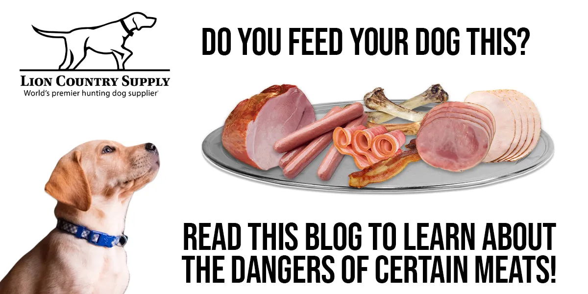 An illustration depicting various types of meat with a warning symbol, highlighting foods unsuitable for dogs.
