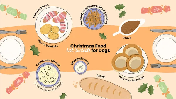 An infographic illustrating festive foods unsuitable for dogs: roast potatoes, unsalted roasted peanuts and cashews, gravy, Yorkshire puddings, pigs in blankets, cauliflower cheese, bread, and whipped cream.