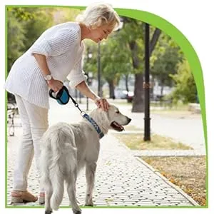 An older woman is pausing a walk to pet her larger, older dog, showcasing a common scenario for joint care