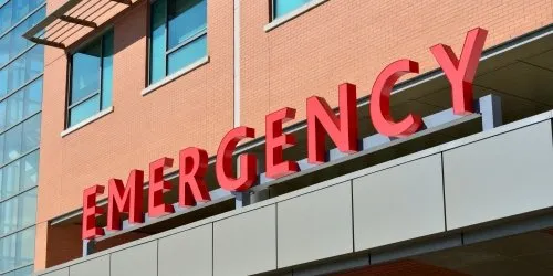 An owner gently holding their cat during a visit to the veterinary clinic