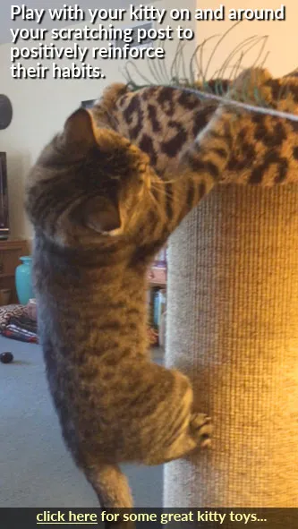 An owner using a feather wand toy to entice a cat to interact with a scratching post.