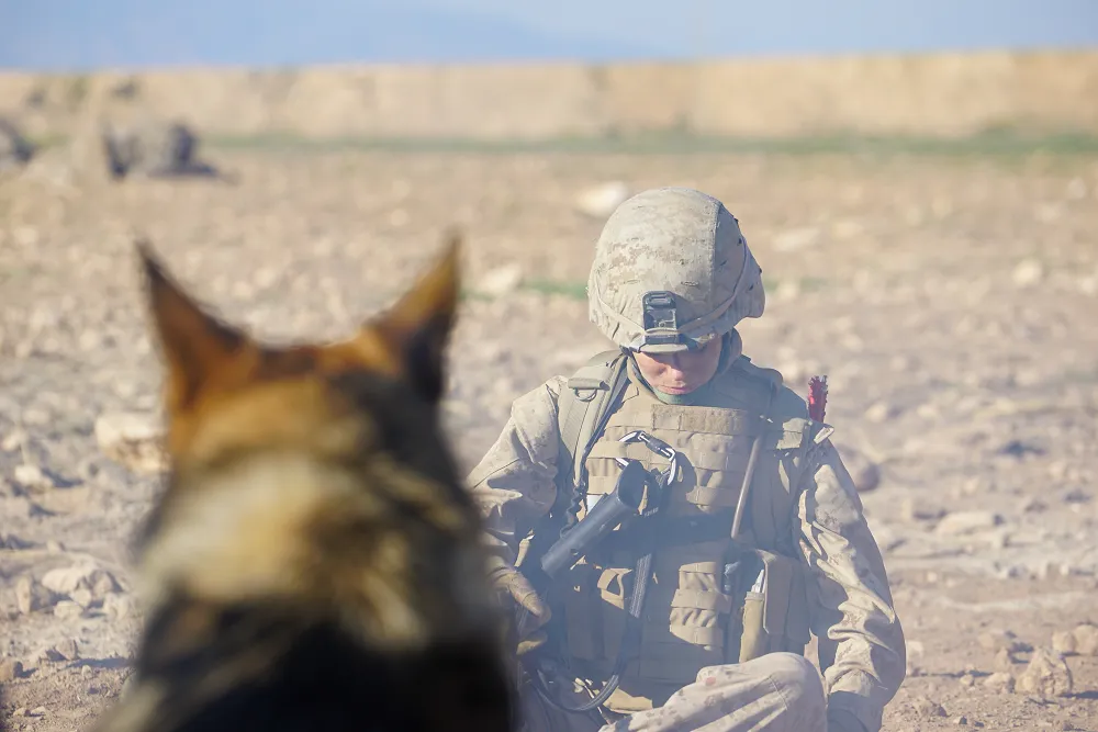 Another scene from the film REX featuring Kate Mara