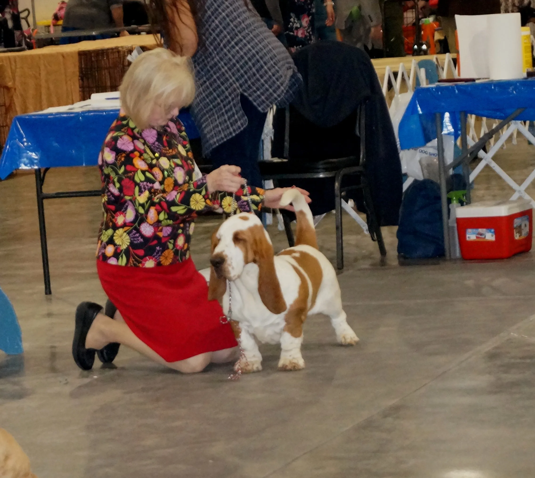 Another view of Willie puppy