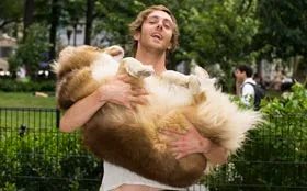 Anton and Hudson, a golden retriever, enjoying a sunny walk in Union Square Dog Run.