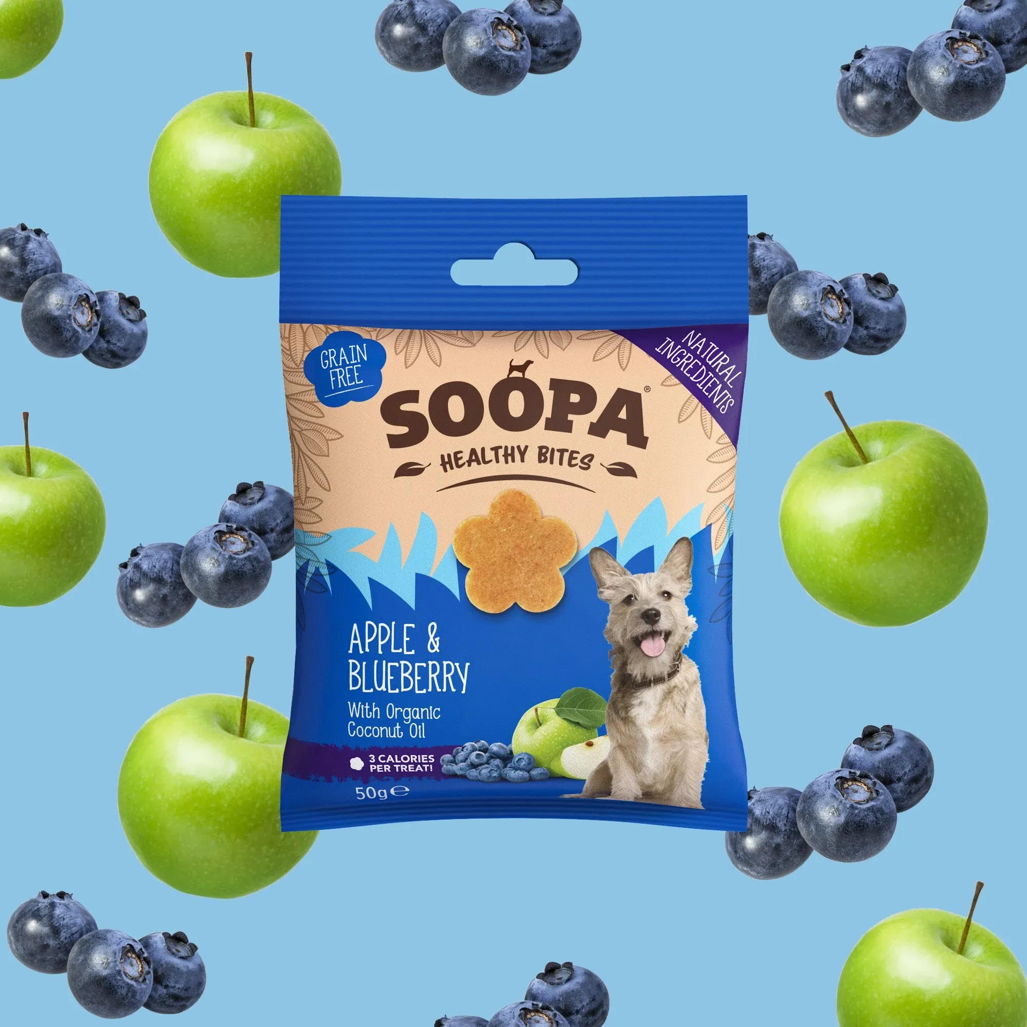 Apple & Blueberry Healthy Bites