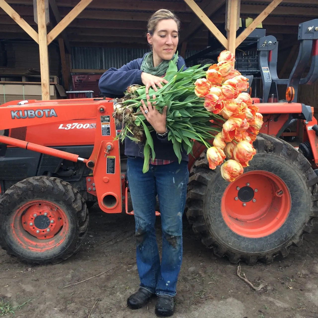 Armload of Professor Rontgen tulips