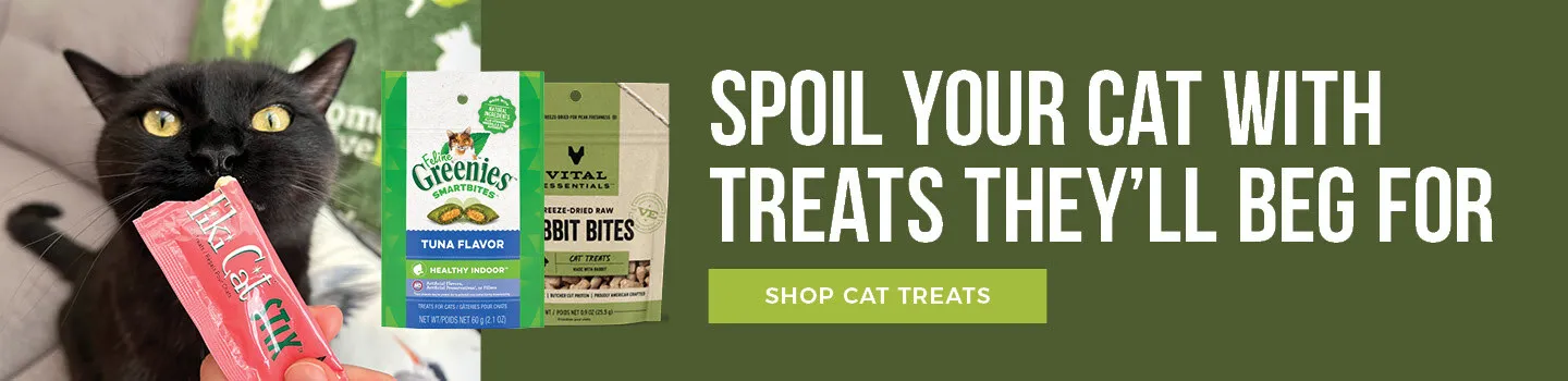 Assortment of tasty cat treats ideal for training sessions