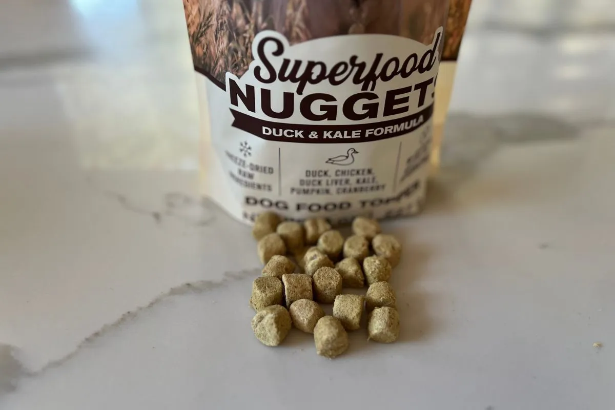 Badlands Ranch Superfood Nuggets, a freeze-dried dog food option
