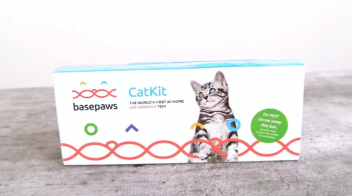 Basepaws Cat DNA Test Review Feature