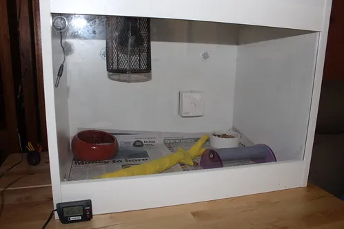 Basic heatbox setup: simple, warm, clean, and stress-free for recovery