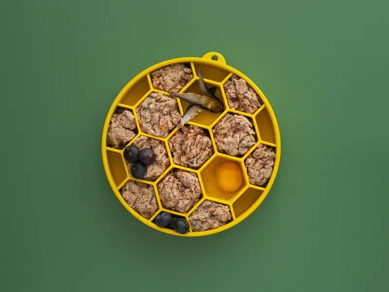 Bella+Duke raw dog food served in a yellow slow feeder bowl, aiding digestion for dogs with pancreatitis.