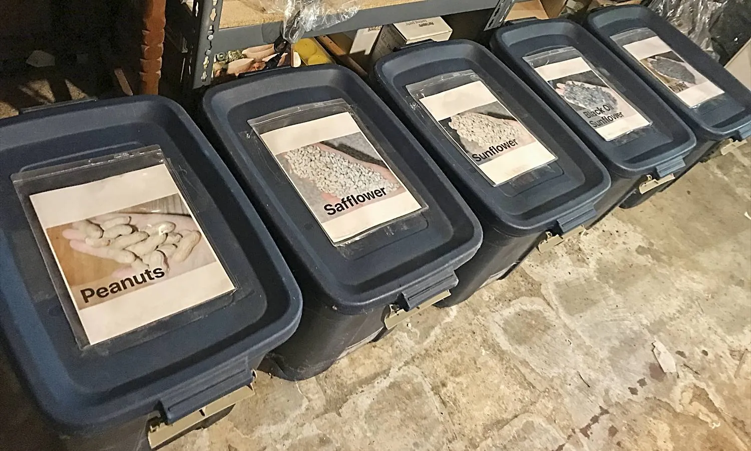 Birdseed Stored in Plastic Bins